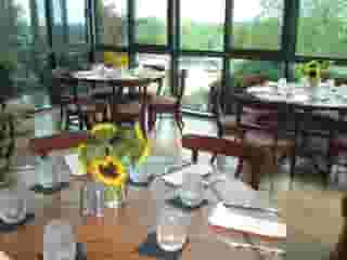 sunflower tables
