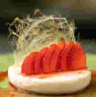 Coconut Panna Cotta