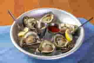 oysters