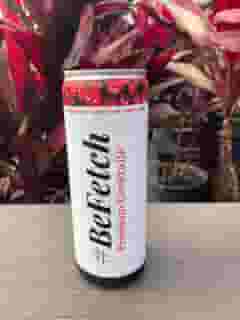 Fetch - Canned Vodka - Cranberry - Soda