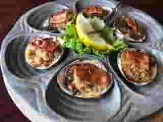Oysters