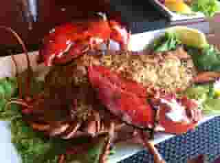 Lobster Dish