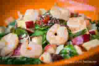 shrimp