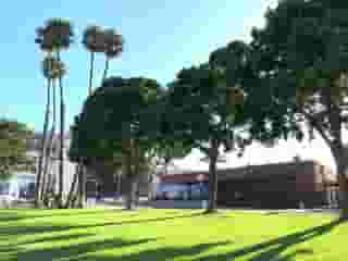 exterior green area
