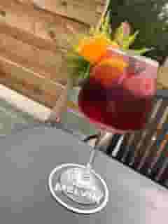 BLUEBERRY RED WINE SANGRIA