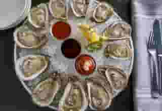 Blue Point Oysters