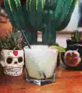 Coyote Margarita