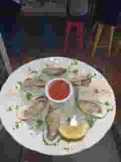 Oysters on the Half Shell