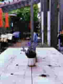 Wooden table with lavendar plant decor