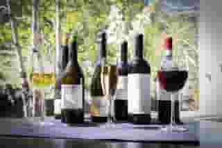 wine