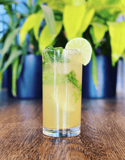 Mojito
