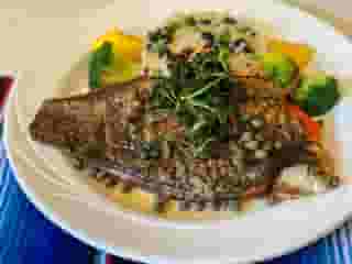 Barramundi