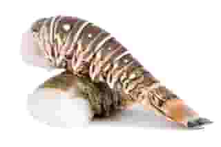 Shellfish Bundle