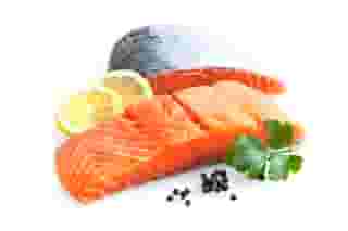 Fishery Bundle