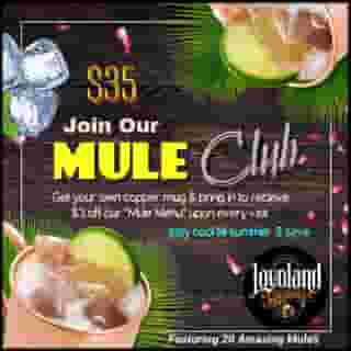 MULE MUG CLUB