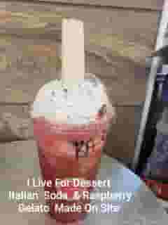 24 oz Berry Blend Italian Soda / Vanilla Ice Cream