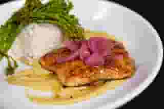 salmon