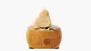 Parmigiano-Reggiano DOP 24