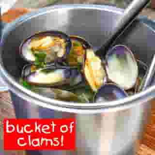 Bucket of Clams