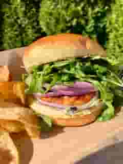 Salmon Burger