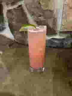 21 Seeds Paloma