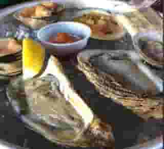 Raw Bar