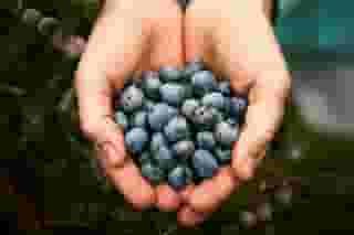 produce