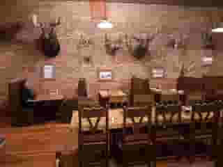 exotic animals mounted on wall