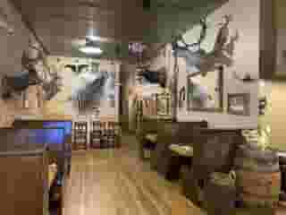 exotic animals mounted on wall