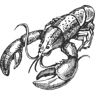 lobster