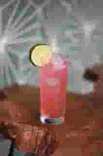 PALOMA