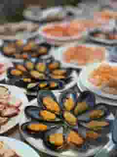 clams