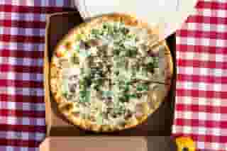 The Alfredo