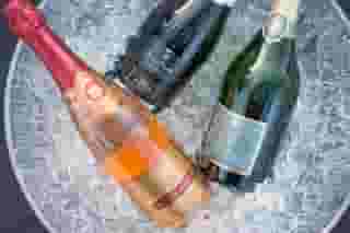 champagne