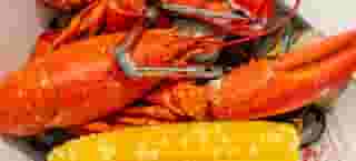lobsters
