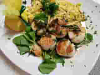 Elmer's Favorite Sea Scallops