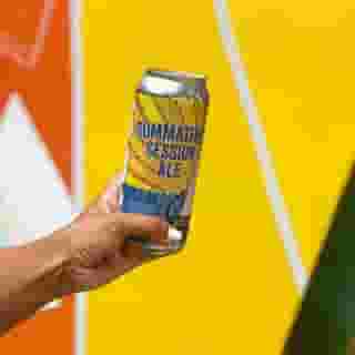 Summation session ale