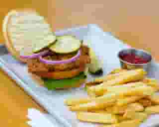 Chicken Sandwich