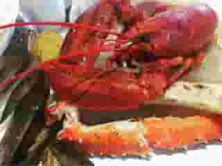 Lobster and crab legs