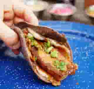 Pork Belly