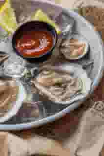 oysters
