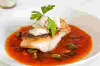 red snapper