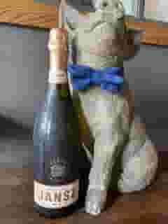JANSZ Sparkling Rose