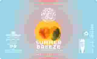 *** NEW *** Summer Breeze Cara Cara Orange & Key Lime Gose