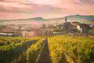 From the "Land of Wine" - Wine Set