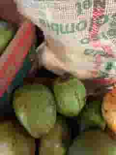 coconut