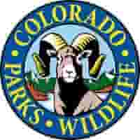 Hunting/fishing licenses