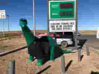 stubs dino