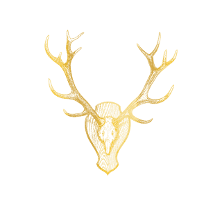 elk