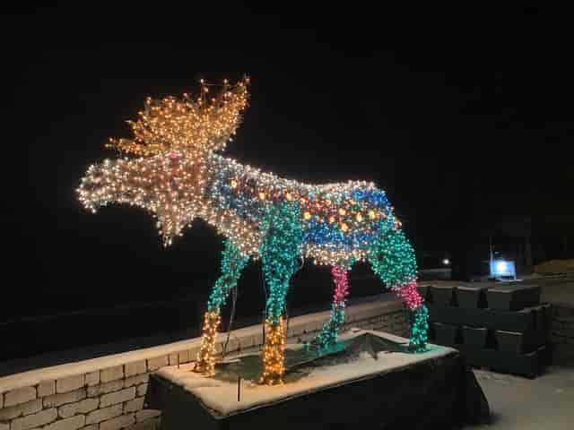 lit moose